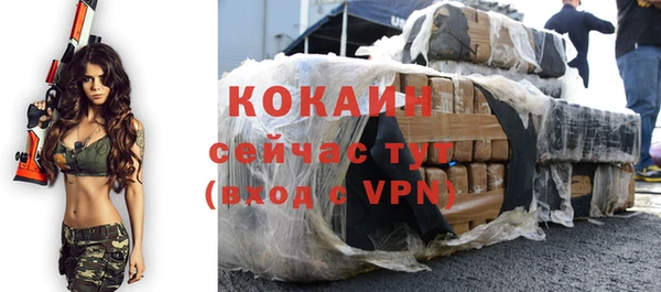 прущие грибы Балабаново