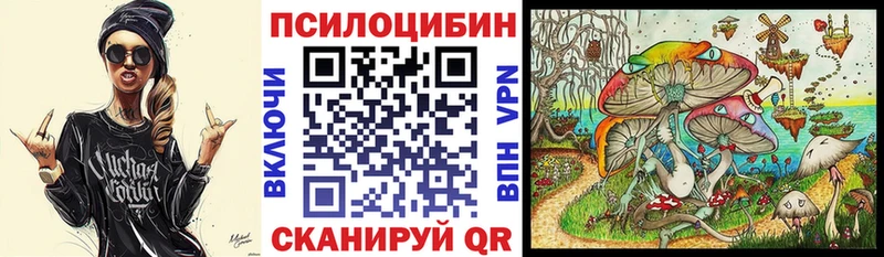 где купить наркоту  Ленинск-Кузнецкий  Галлюциногенные грибы мухоморы 